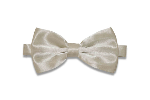 Violet Bow Tie (Self-Tie)