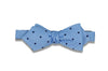 Double Blue Dots Silk Bow Tie (self-tie)