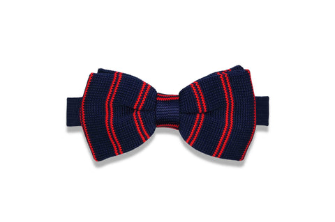 Violet Bow Tie (Self-Tie)