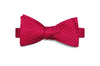 Fuchsia Pin Dots Silk Bow Tie (self-tie)