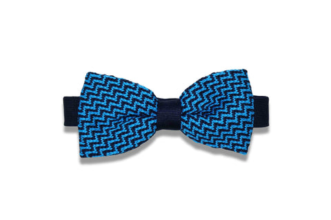 Violet Bow Tie (Self-Tie)