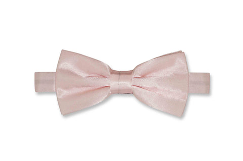 Violet Bow Tie (Self-Tie)