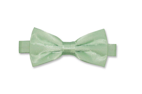 Violet Bow Tie (Self-Tie)