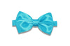 Blue Green Bow Tie (pre-tied)