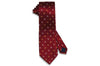 Burning Paisley Silk Tie