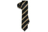 Golden Black Bridge Skinny Tie
