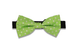 Lime Dotted Bow Tie (PRE-TIED)