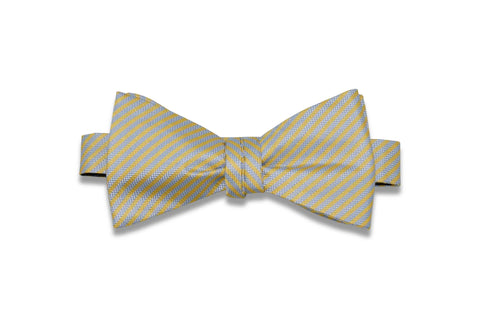 Roger Stripes Silk Bow Tie (Self-Tie)